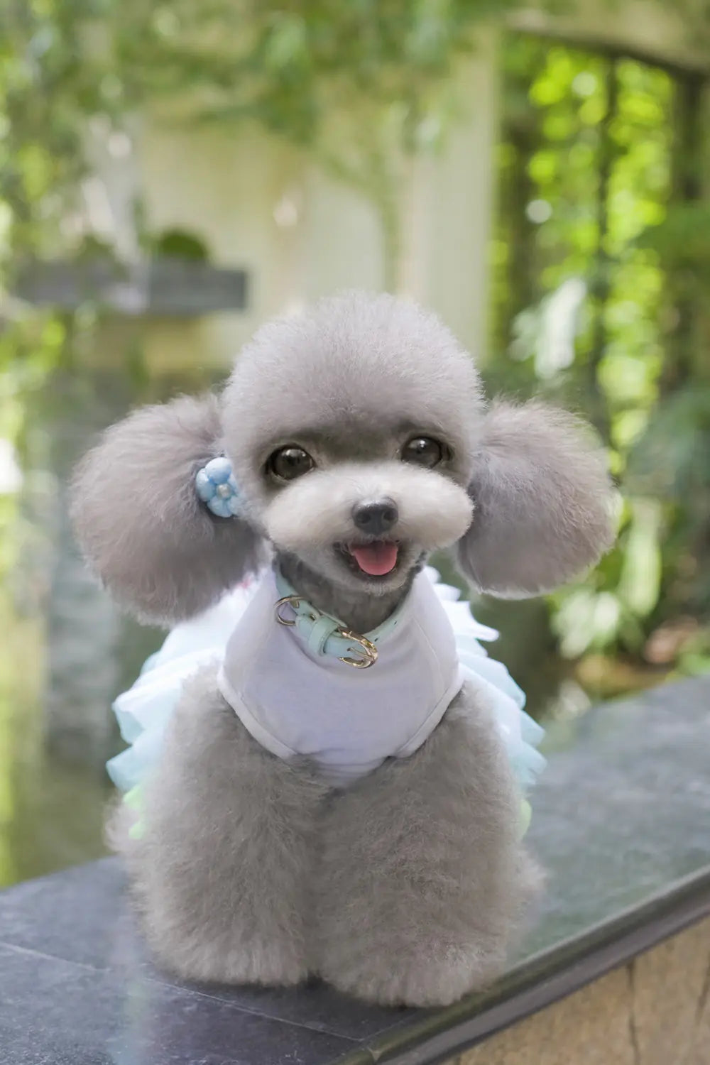 Dogbaby Pet Clothes for Spring/Summer - Dog Skirt
