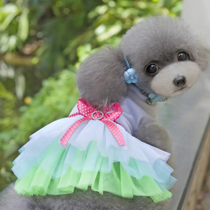 Dogbaby Pet Clothes for Spring/Summer - Dog Skirt
