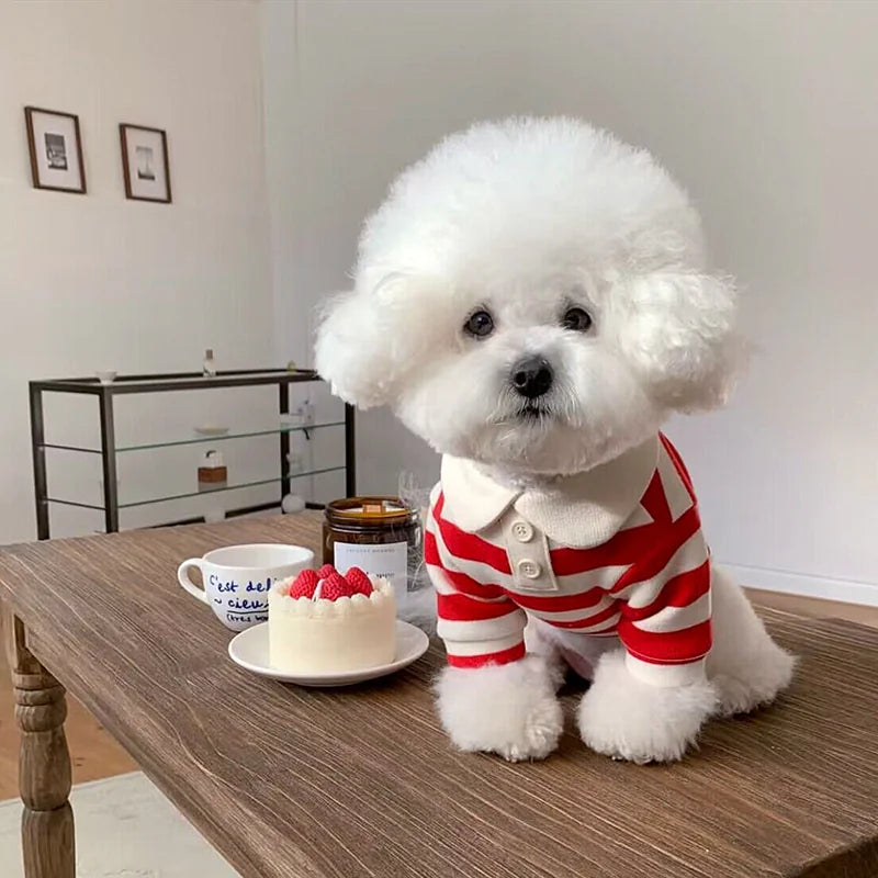 Lightweight Cooling Pet Shirt for Small & Medium Dogs | Stylish & Comfortable Puppy Outfits for Hot Weather