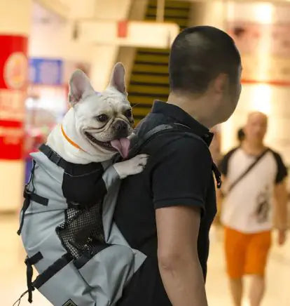 Hiking Pet Dog Carrier