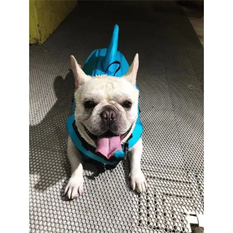 Dog Life Jacket for Safe Swimming - Pet Supplies