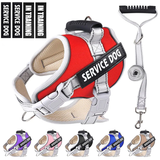 Dogmify Service Dog VestNo Pull in Training Service Dog Harness and 5FT Dog Leash Set Adjustable 3M Reflective Nylon Pet Dog Vest with HandleEasy Control for Small Medium Large Dogs(XLRed)
